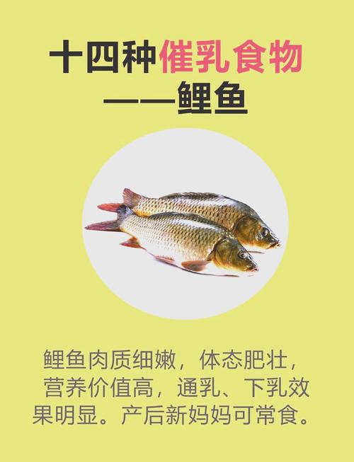 錦鯉能吃嗎 觀賞魚錦鯉能不能吃 錦鯉魚是食用魚嗎_鏡鯉能不能吃啊?