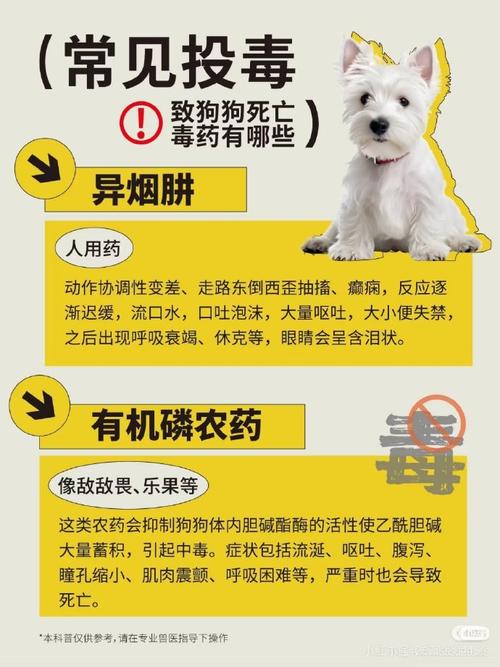 老鼠藥成分_投放老鼠藥 寵物狗中毒 投放危險物質罪