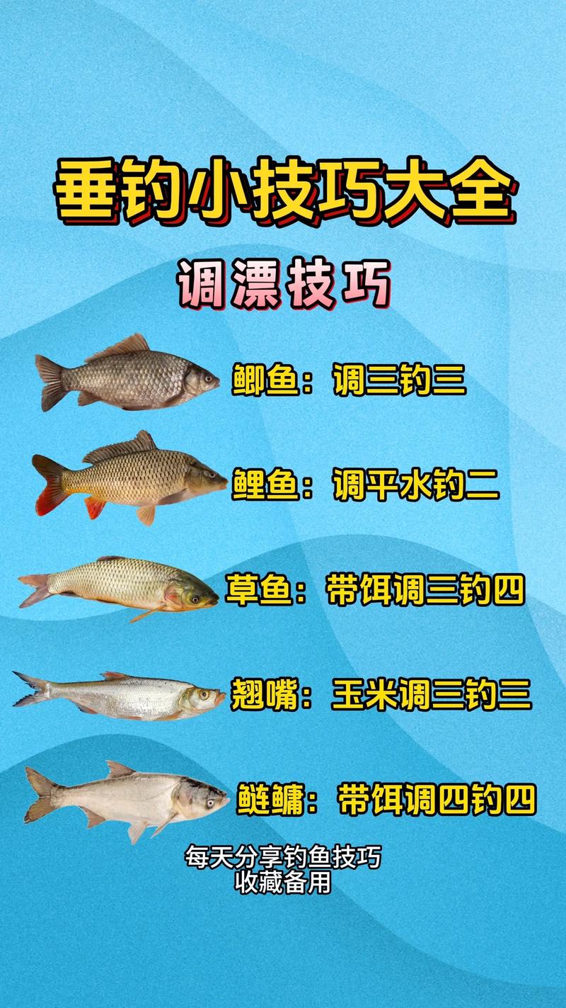 調漂公式 調目釣目 靈鈍差_釣魚技巧調漂找底