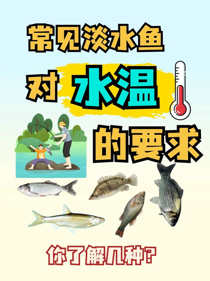 晴天釣魚技巧_下雨前一天大太陽釣魚_釣魚天氣選擇指南