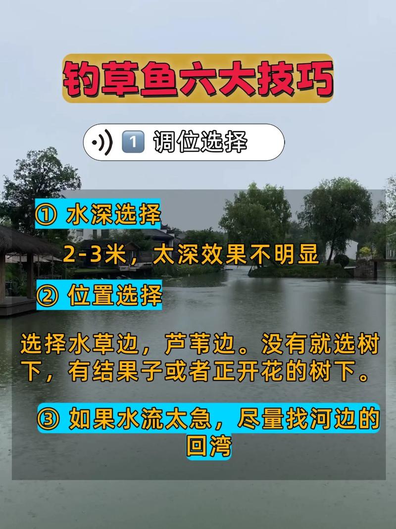 夏季釣魚釣位選擇_釣魚方法與技巧視頻_夏季釣魚技巧