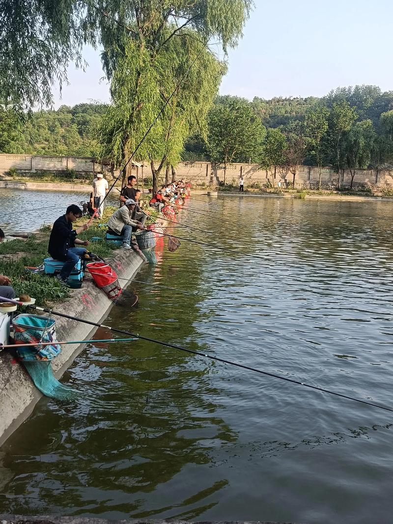 濰坊野釣不要錢地方_濰坊哪里釣魚沒人管_濰坊免費釣魚