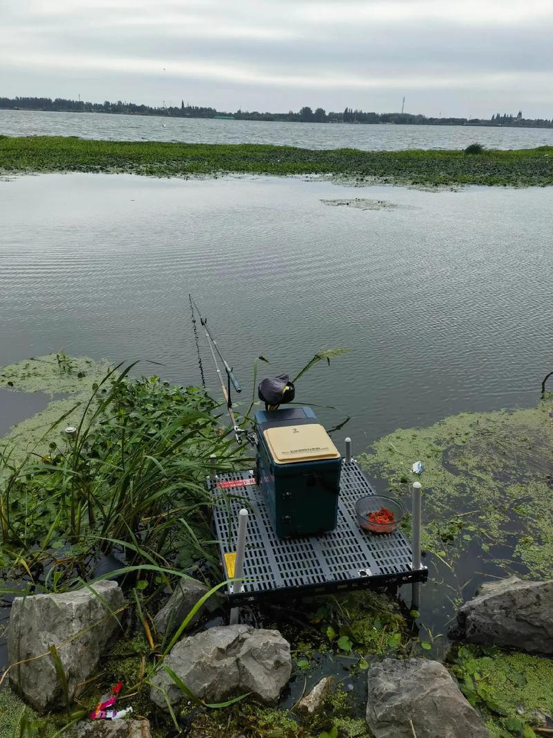 開個釣魚黑坑賺不賺錢?一看就知道_農村低成本創業項目_收費釣魚場生意