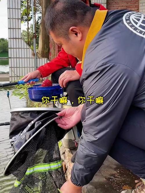 開個釣魚黑坑賺不賺錢?一看就知道_農村低成本創業項目_收費釣魚場生意