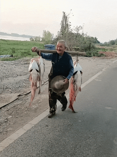耐心等待釣魚技巧_野外垂釣大魚視頻_清晨野外釣魚經驗