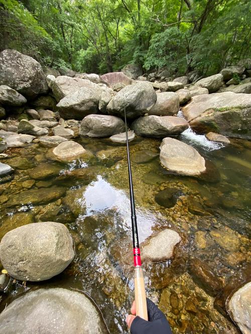 野外釣魚模擬 夜釣挑戰 稀有魚種_野外釣魚模擬 漁具挑選 餌料調配_野外釣魚直播