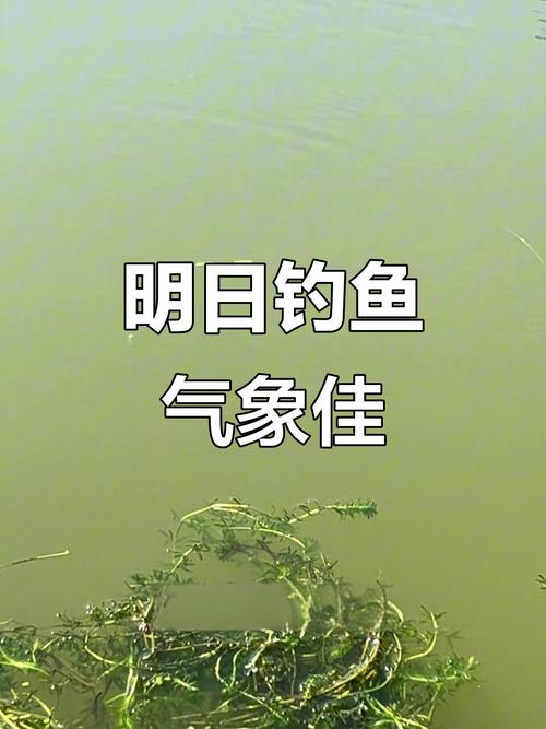 鄭州市未來一周天氣預報_鄭州釣魚天氣_鄭州氣壓預報_鄭州天氣預報_鄭州未來30天天氣趨勢