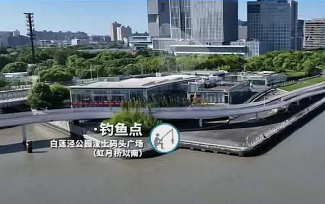 浦東濱江白蓮涇公園垂釣點_上海免費釣魚地點_黃浦江垂釣區域