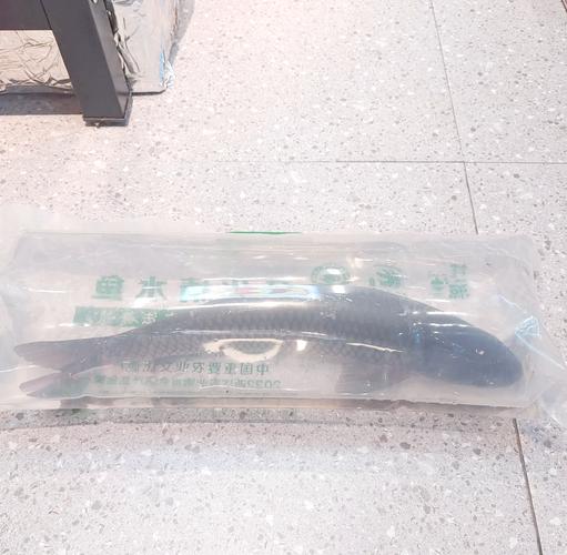 開化清水魚養殖_開化清水魚用的什么魚?_開化清水魚銷售渠道