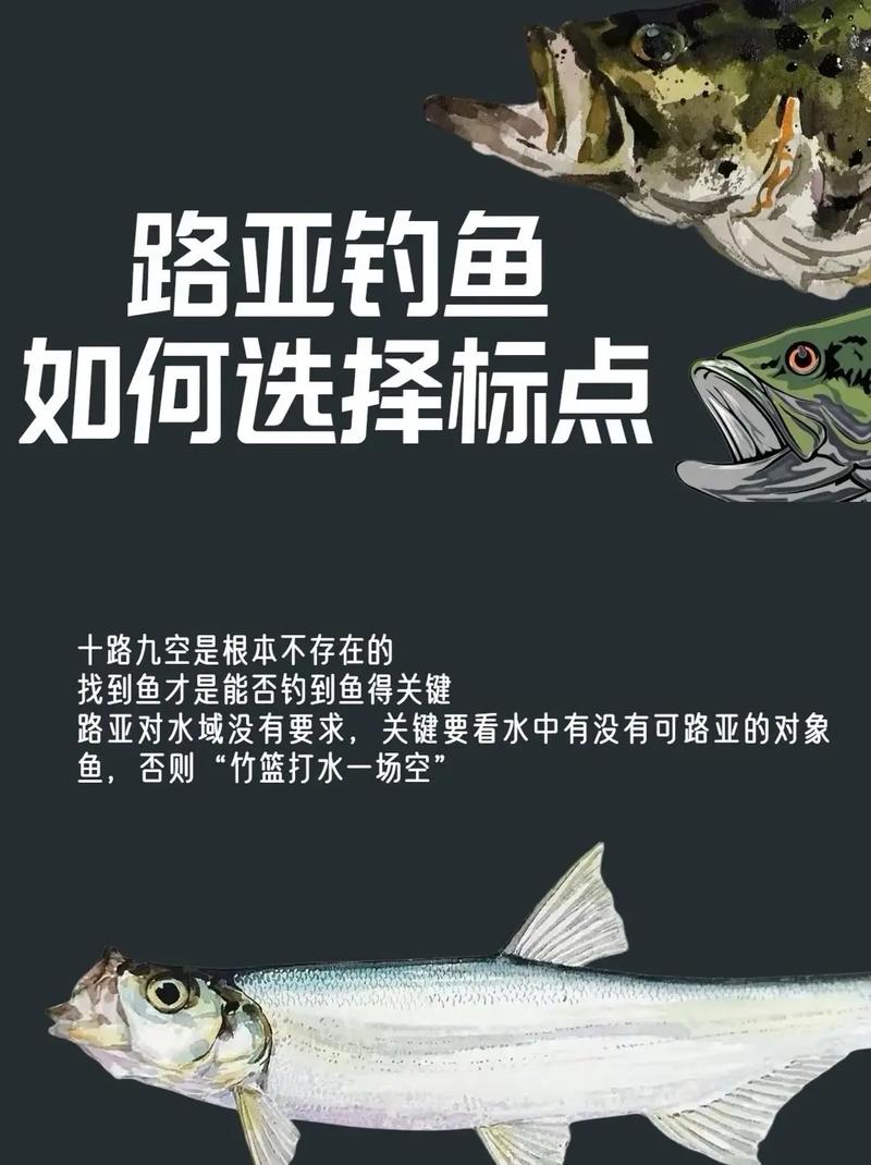 路亞釣魚餌料選擇技巧_路亞釣魚不同魚種餌料選擇_新手路亞亮片釣魚視頻