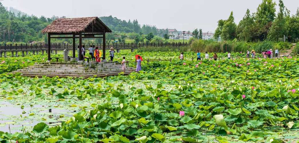 銅山區鄉村振興_銅山區古韻民風旅游_徐州銅山區農家樂大全