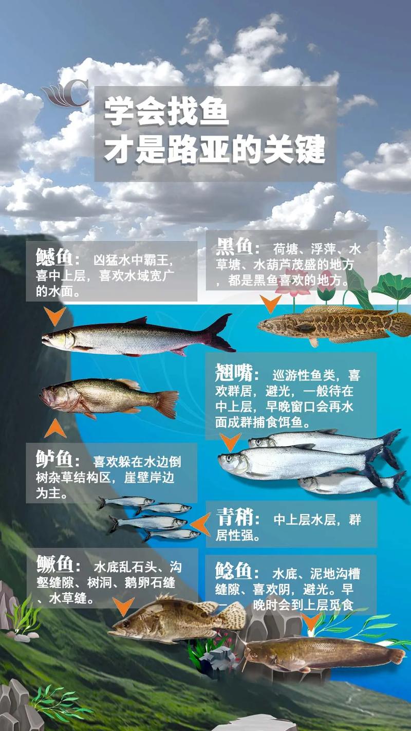 看圖選釣點這些位置都是藏魚的地方_魚窩選擇技巧_巖石邊釣位