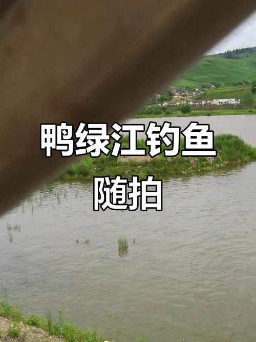 丹東美食_鴨綠江_鴨綠江釣魚攻略_鴨綠江可以釣魚嗎_鴨綠江風景區