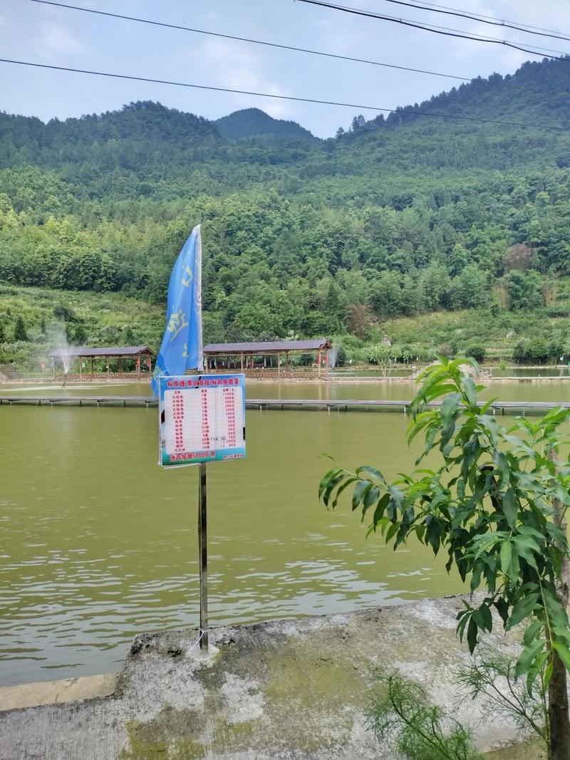 臨沂垂釣園_臨沂釣魚網_臨沂黑坑釣場