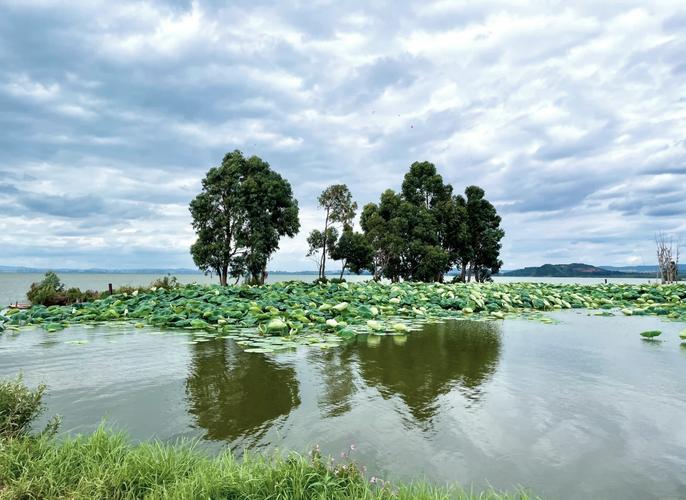 昆明周邊水庫野釣_昆明滇池禁釣期規定_昆明滇池免費釣魚區
