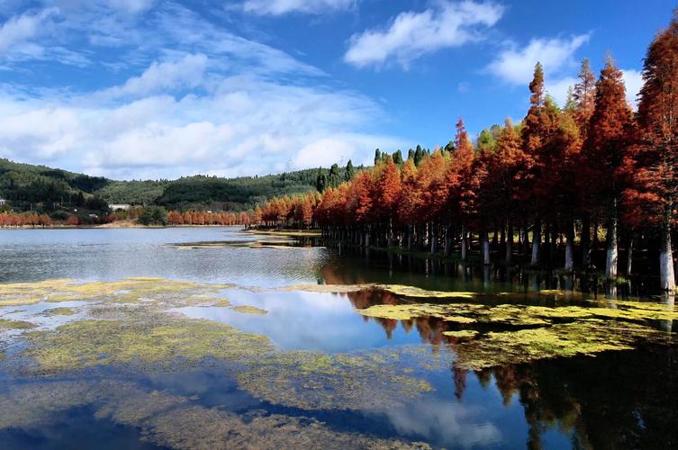 昆明石林彝族自治縣湖庫大全_云南昆明石林彝族風景名勝區_昆明石林是什么族
