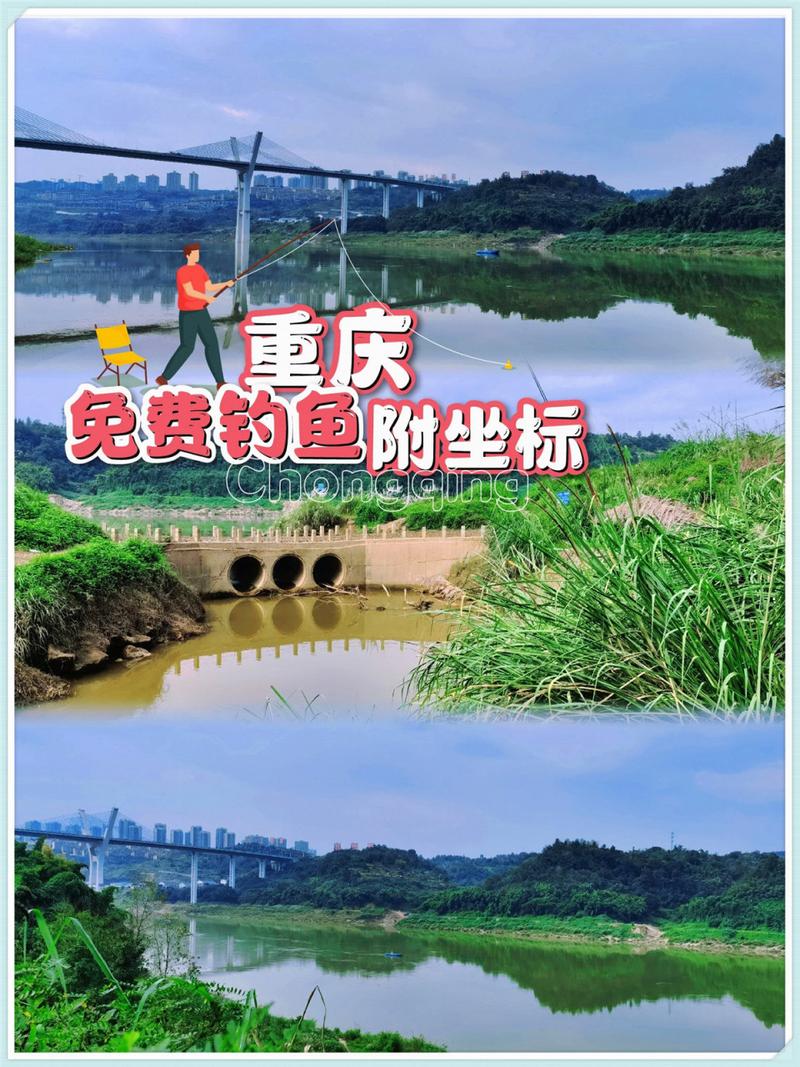 涪陵區釣魚點_重慶釣魚地點匯總_重慶野釣交流一起約釣分享資源