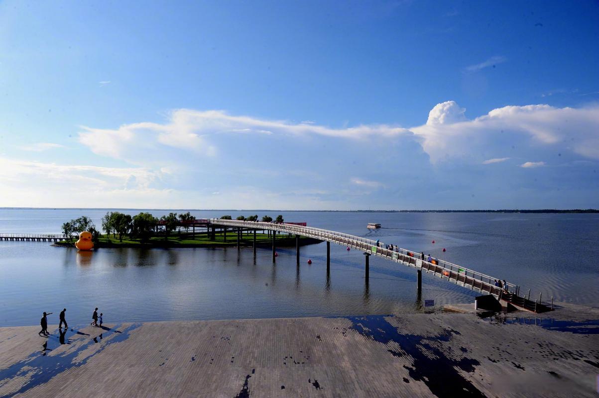 康平臥龍湖生態治理_遼寧康平臥龍湖候鳥遷徙_康平臥龍湖釣魚地點