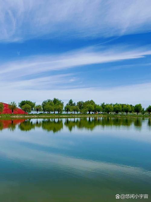 遼寧康平臥龍湖候鳥遷徙_康平臥龍湖生態治理_康平臥龍湖釣魚地點