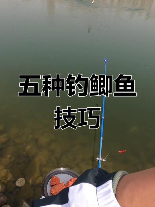 鯽魚浮漂調釣技巧_野釣鯽魚用什么漂好_釣鯽魚黑漂頓口頂漂