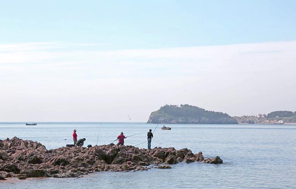 大連各區海釣攻略_來到大連可以釣魚的地方好少啊_大連特色海釣魚種