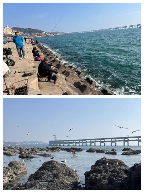 大連特色海釣魚種_來到大連可以釣魚的地方好少啊_大連各區海釣攻略