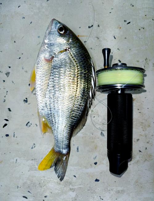 男子自制釣魚神器_牛人自制釣魚神器_自己做的釣魚神器