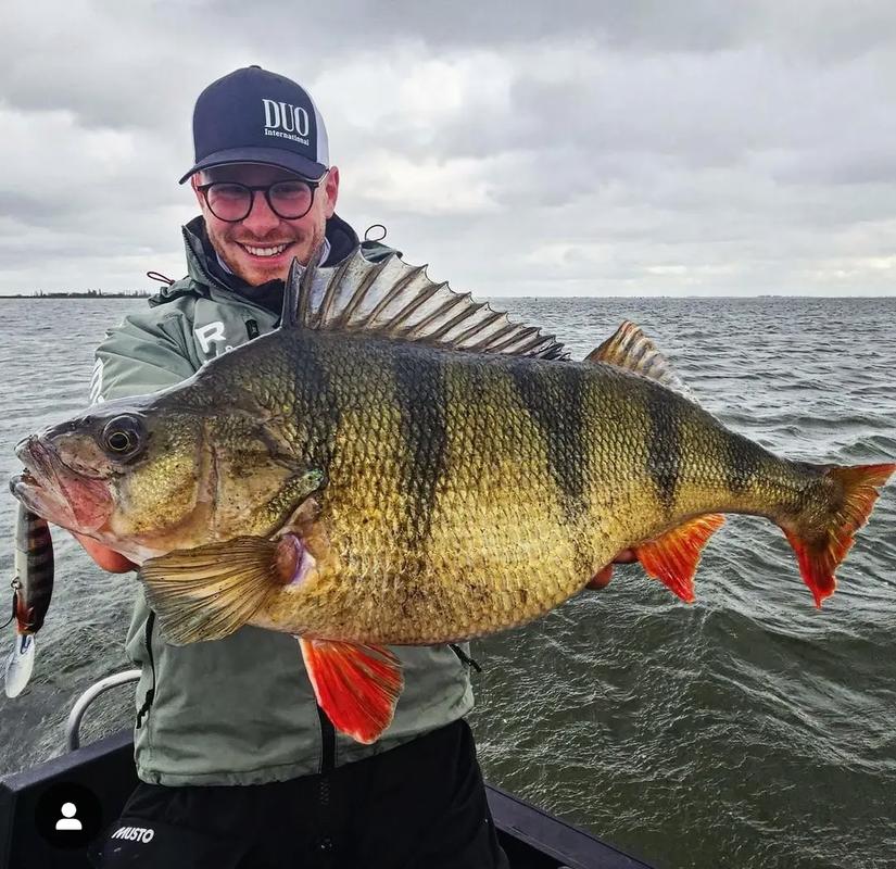 五道黑釣法_專業釣五道黑_五道黑路亞餌選擇