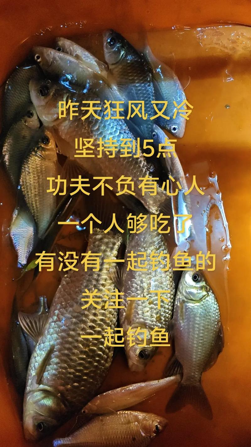 釣魚人的額外苦難_釣魚人生八苦_垂釣的人生哲理圖片