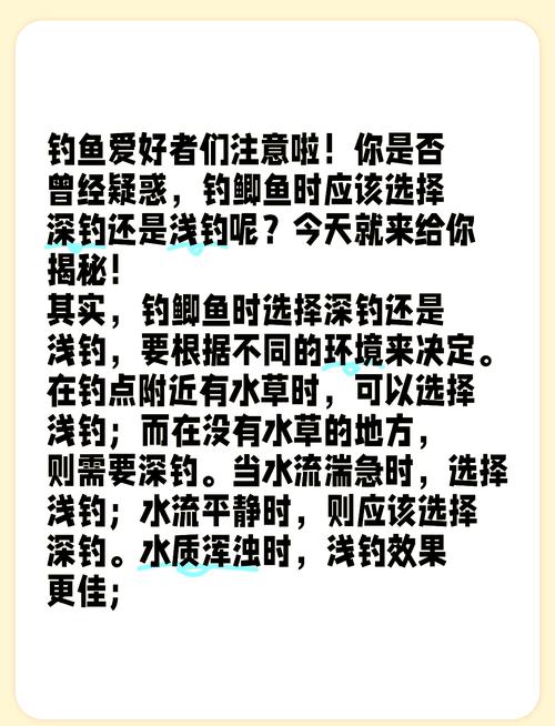 冬季釣鯉魚_初冬鯉魚釣位選擇_南方冬釣鯉魚