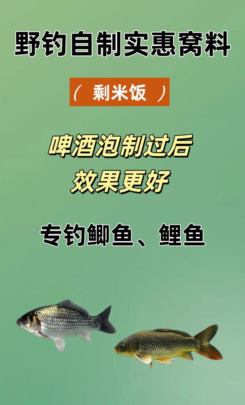 釣鯉魚餌料配方_玉米自制釣魚餌料配方_夏季釣鯉魚技巧