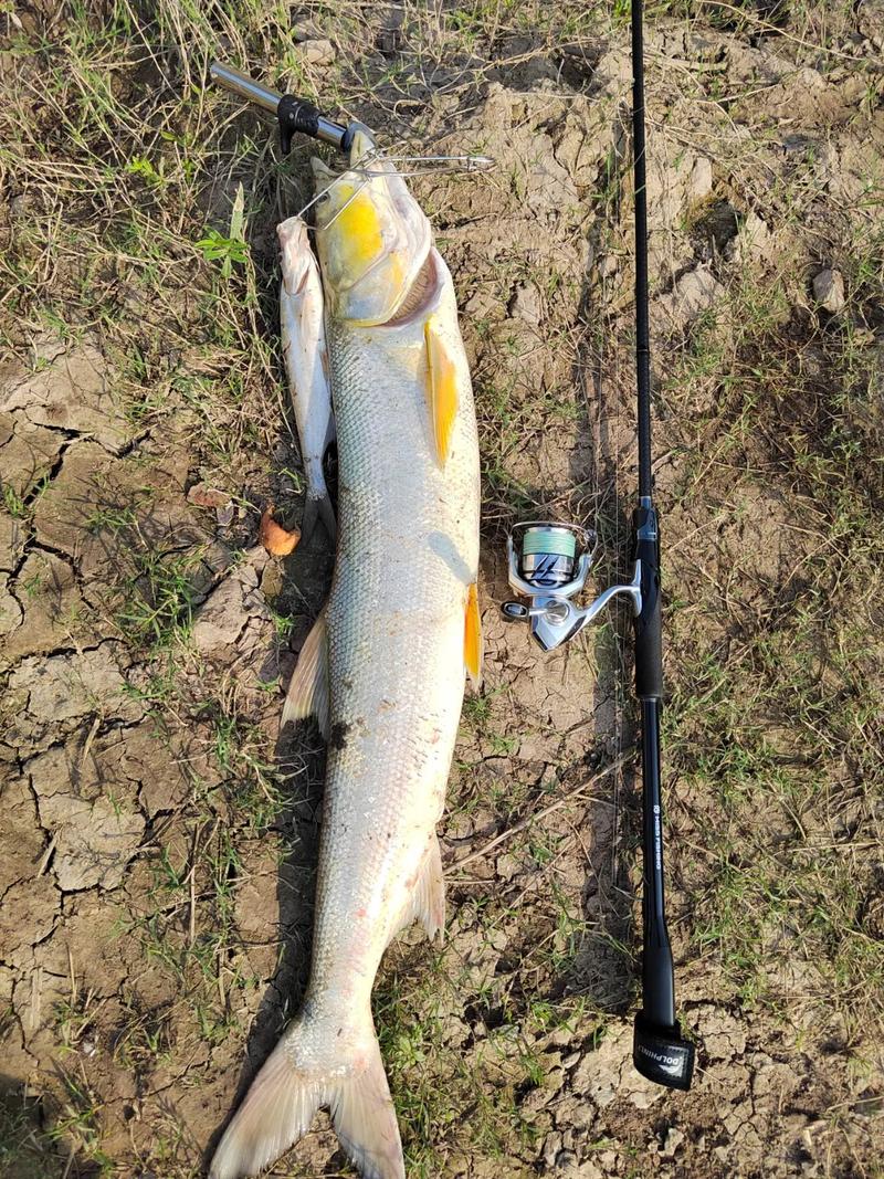 路亞釣魚社區_路亞之家_路亞之家APP