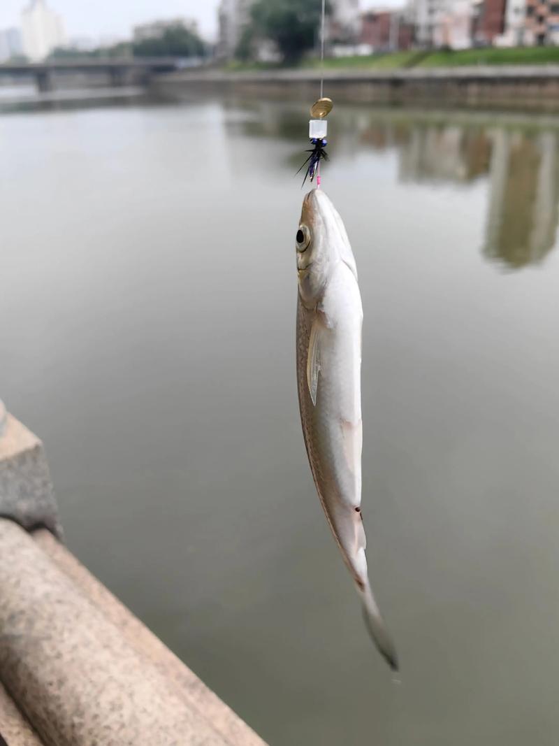 路亞之家APP_路亞之家_路亞釣魚社區