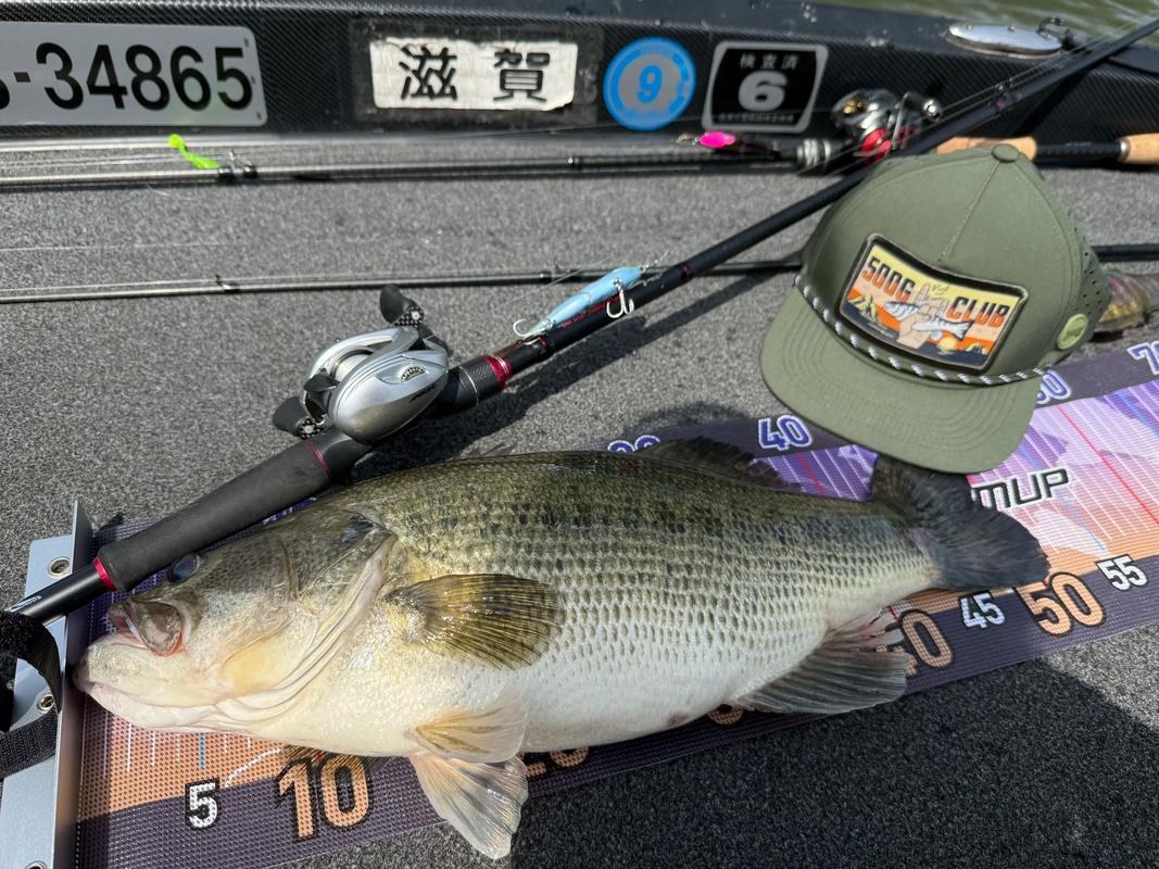 路亞之家_路亞之家APP_路亞釣魚社區