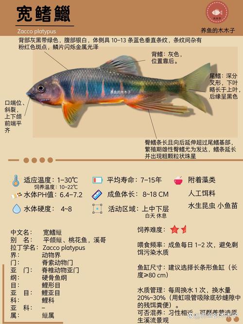 土鯪麥鯪泰鯪識別_鯪魚種類區分_普及一下鯪魚的種類帶圖更清晰