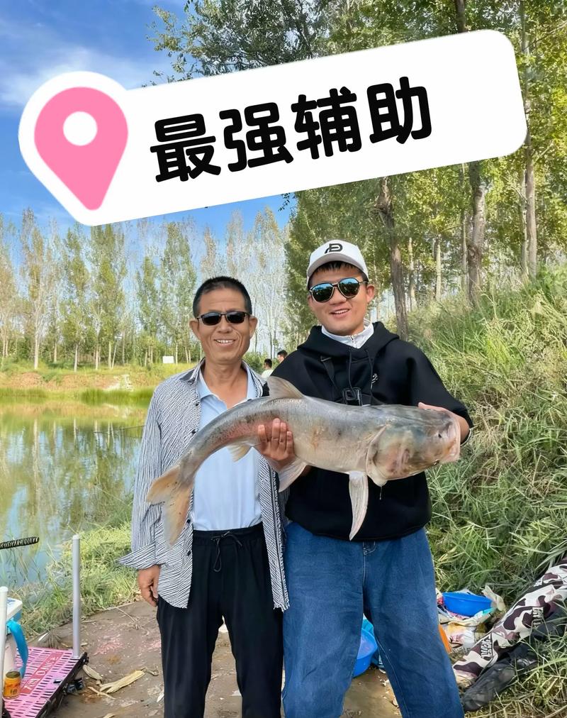 釣魚比賽規則_釣魚比賽規則_釣大青魚技巧