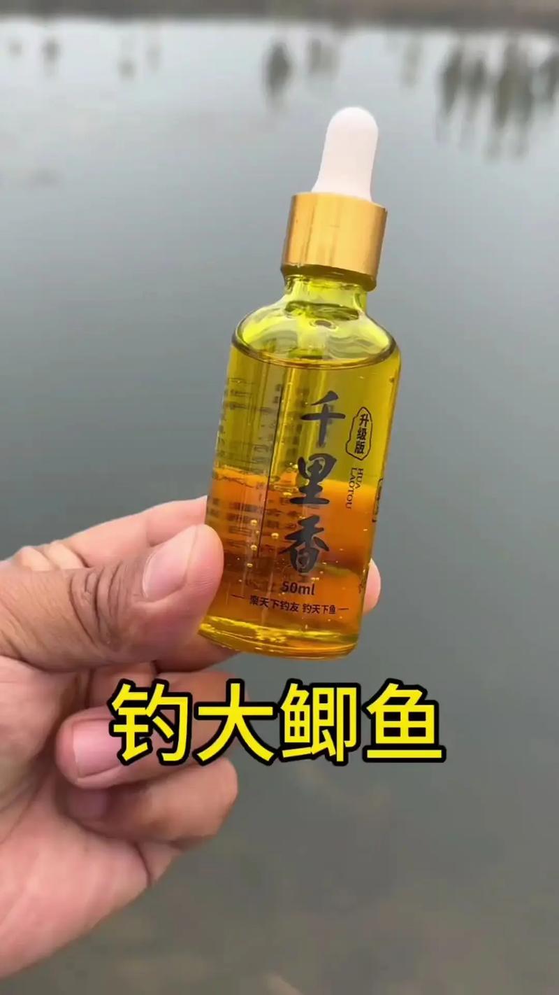千里香釣鯉實戰技巧_千里香釣鯉魚用法_千里香釣鯉魚配方?
