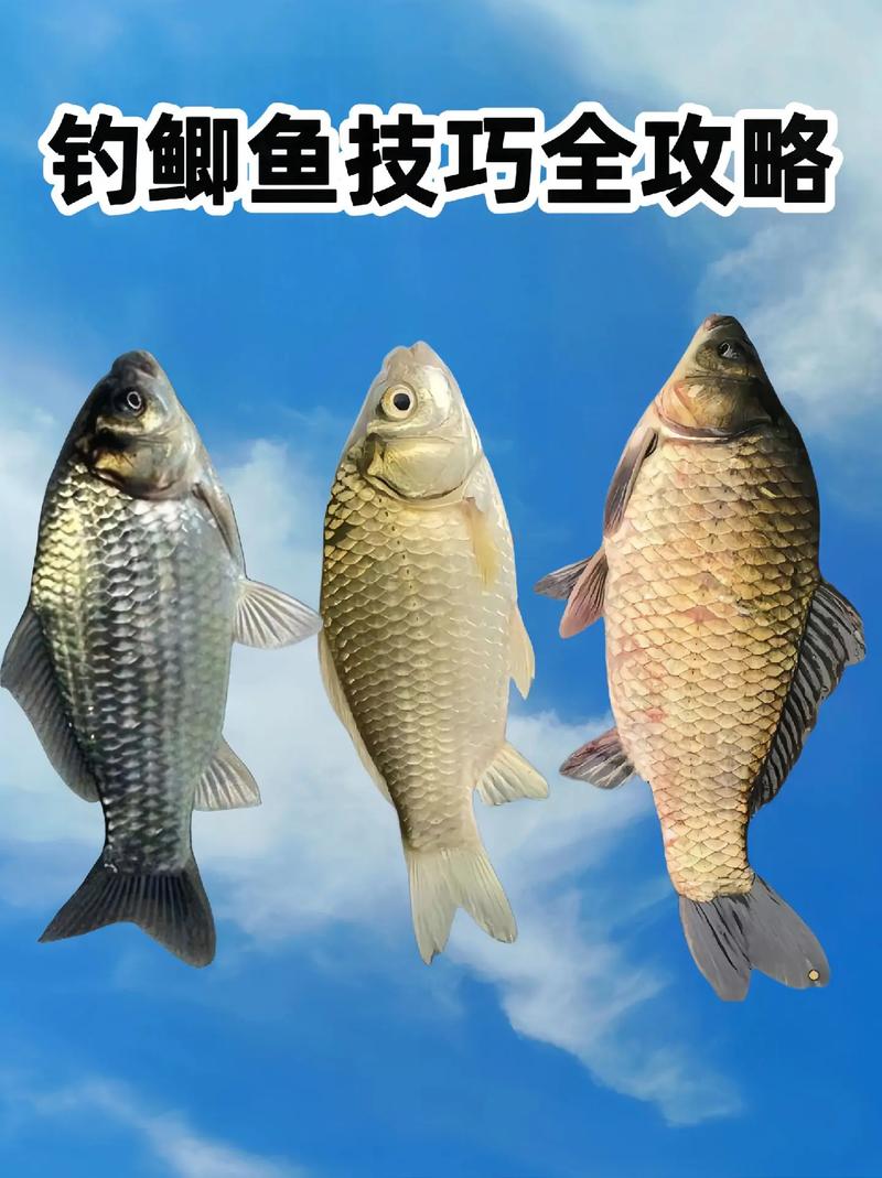 野釣鯽魚掌握4大必殺技巧?_野釣技巧_提高野釣成功率