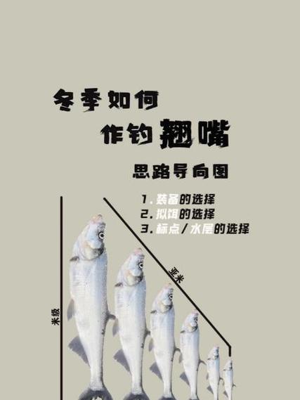翹嘴魚最佳釣點選擇技巧_翹嘴魚的釣法_翹嘴魚釣法入門到精通指南