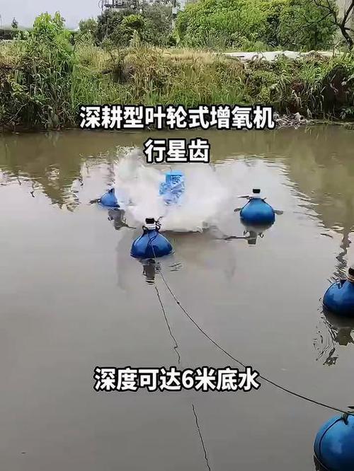 人工養魚塘釣魚技巧_如何釣大魚人工魚塘_農村魚塘釣魚技巧