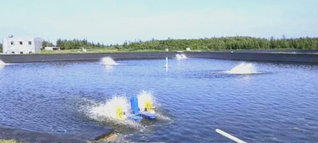 農村魚塘釣魚技巧_人工養魚塘釣魚技巧_如何釣大魚人工魚塘
