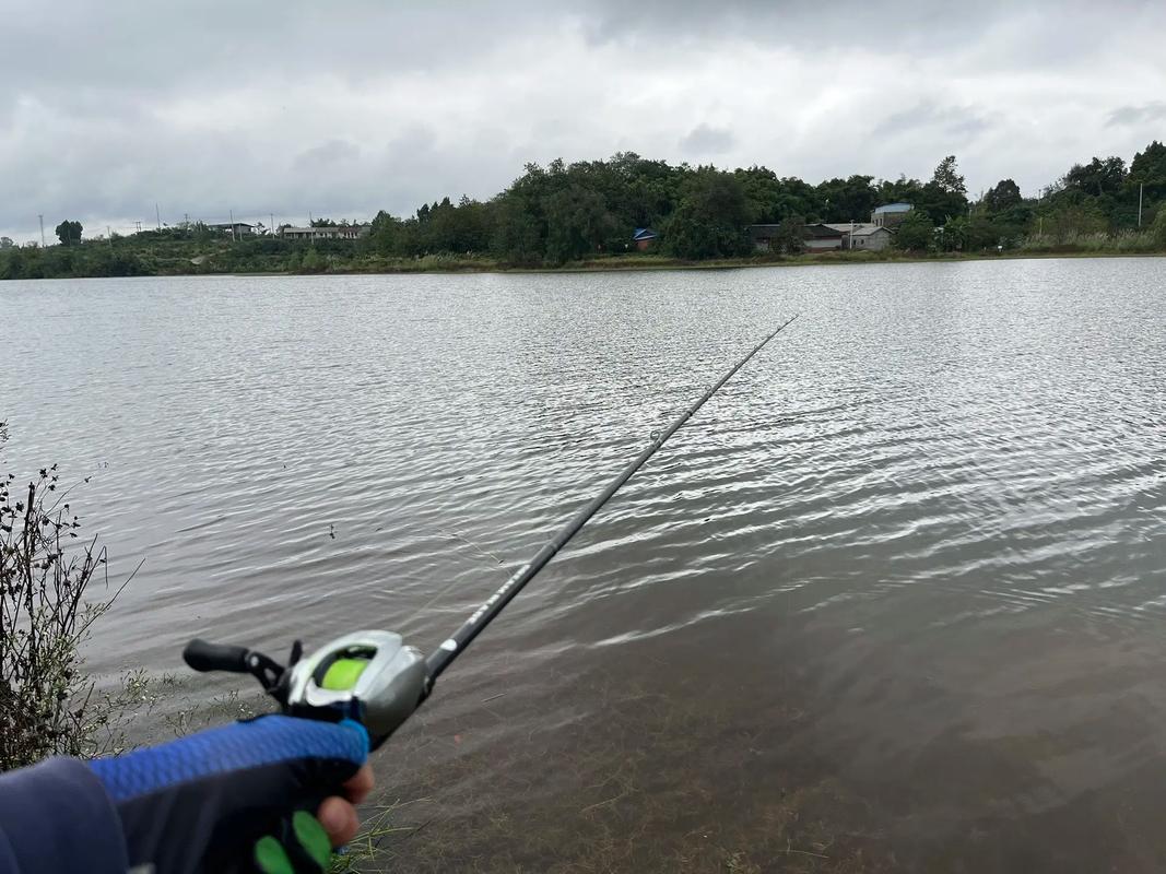 草洞鯽魚釣點選擇_三岔湖釣魚水位下降_三岔水庫釣魚技巧