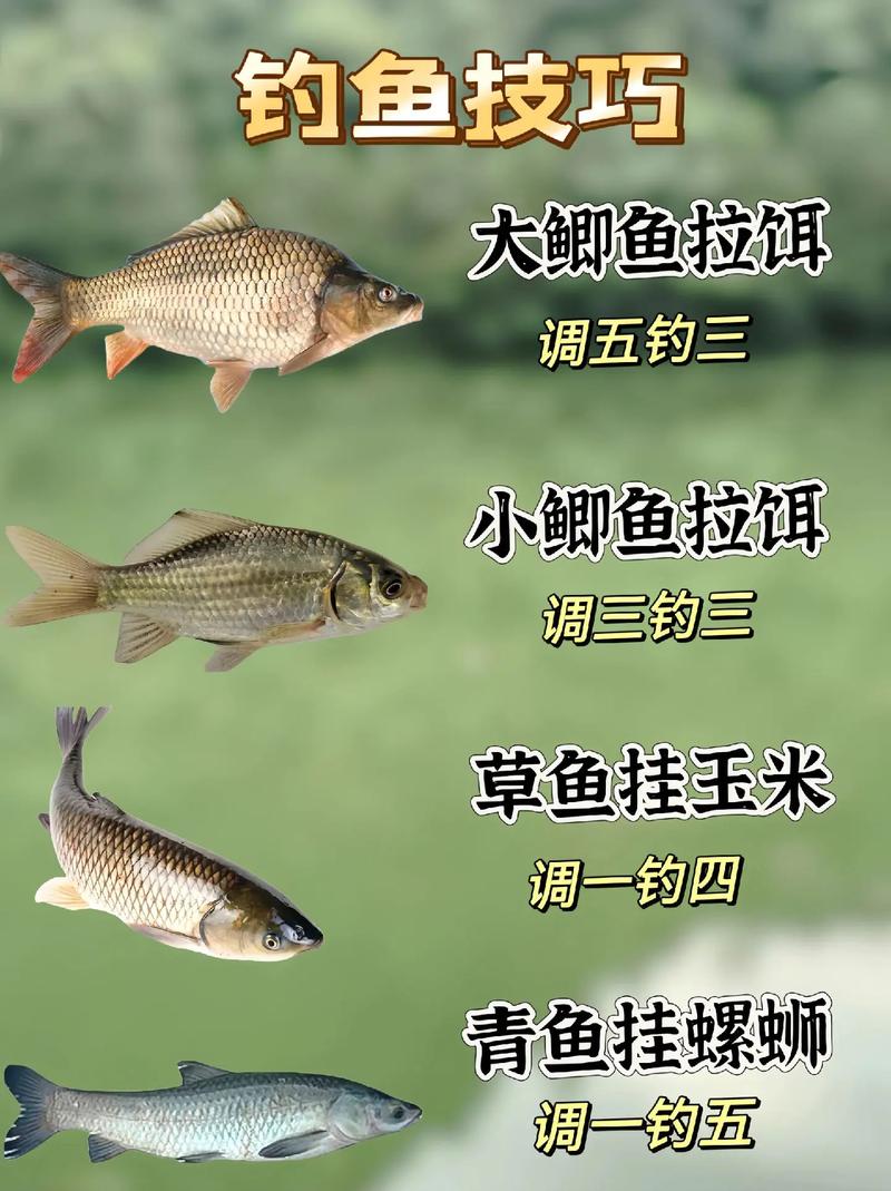 淺談一下野外釣鯪魚的釣法_釣魚之家_釣鯪魚用幾號鉤最好_路亞釣鯪魚的最佳季節和時間