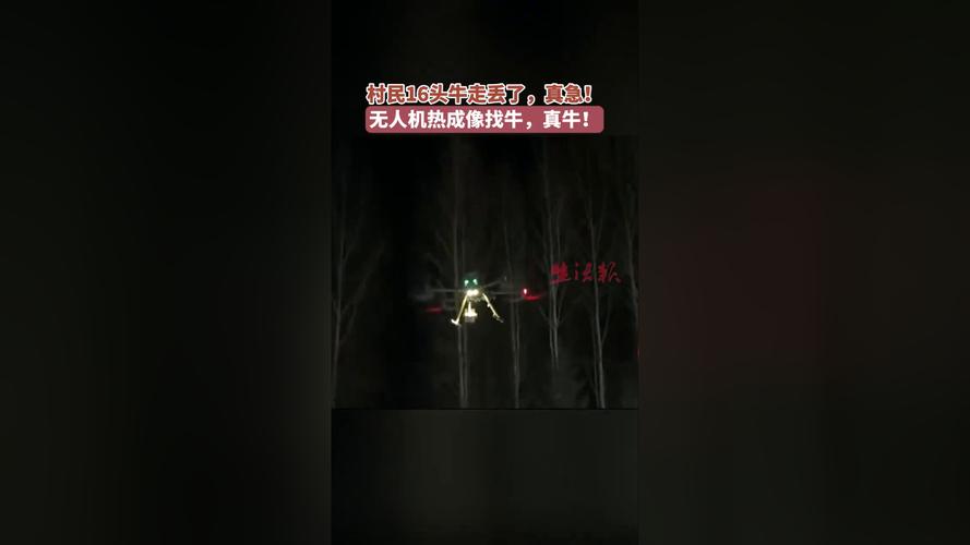 dnf奶媽怎么復活隊友_dnf怎么釣魚_dnf無人機怎么釣魚