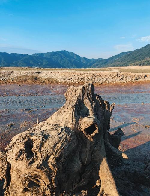 青獅潭水庫除險加固工程_青獅潭水庫_青獅潭水庫水位下降對漓江補水影響
