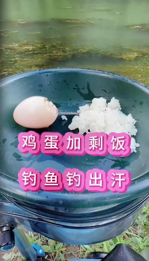 夏季野釣鯉魚餌料配方_魚塘釣魚鯉魚配餌技巧_釣野生鯉魚技巧