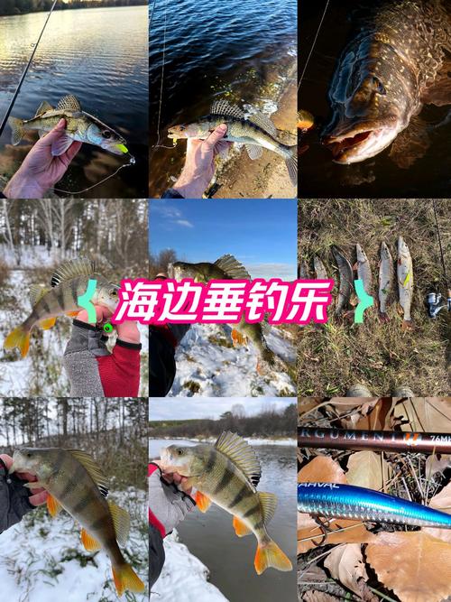 樂釣網釣魚論壇平臺_樂釣網發展歷程_快樂垂釣網手機版