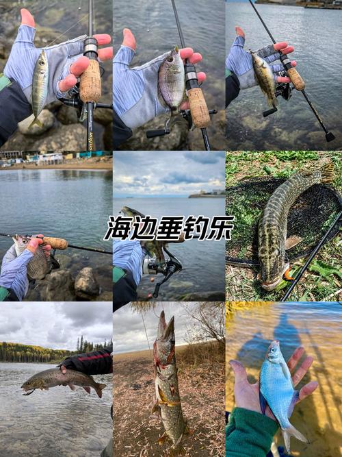 快樂垂釣網手機版_樂釣網釣魚論壇平臺_樂釣網發展歷程