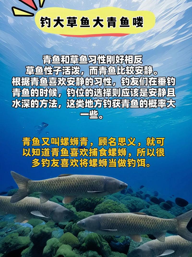 青豆釣草魚技巧?_草魚天然餌料選擇_釣大草魚餌料