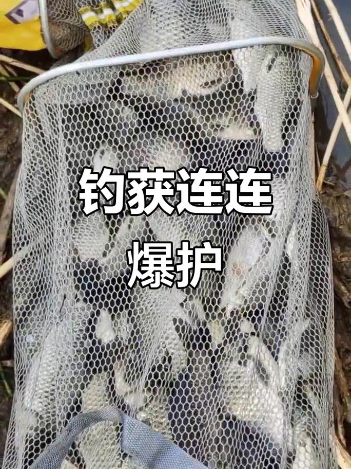 回水灣釣魚技巧_附近免費釣魚的地方_野外釣魚最佳地點